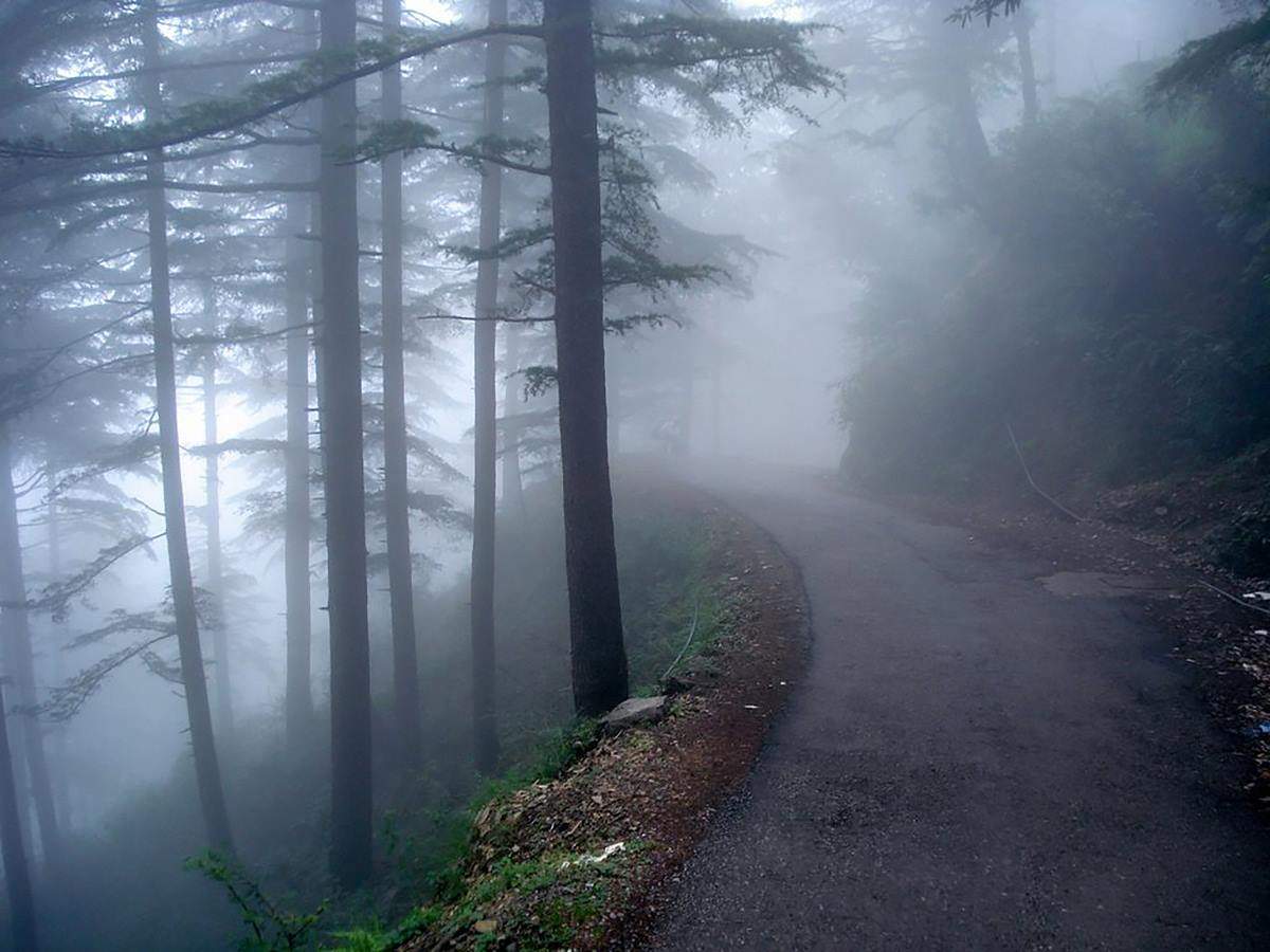 Daringbadi Hill Station